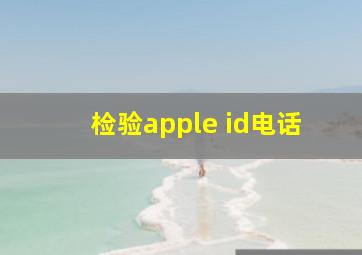 检验apple id电话